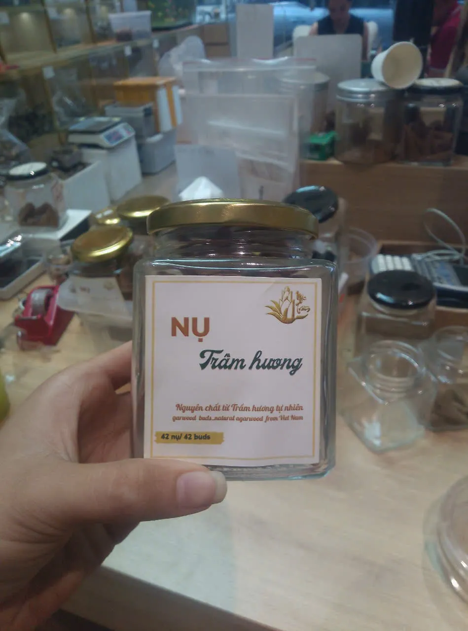 Premium Agarwood Cone Incense – Long Burning Vietnamese Oud Cones (Box of 42)